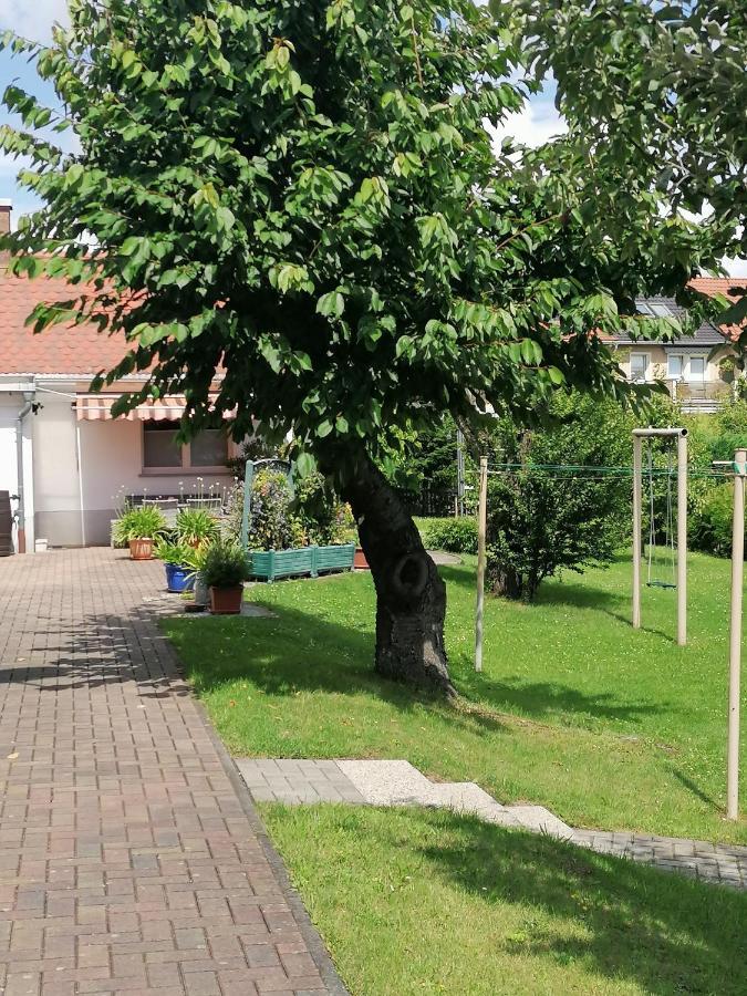 דירות Olbersdorf Toepferblick מראה חיצוני תמונה